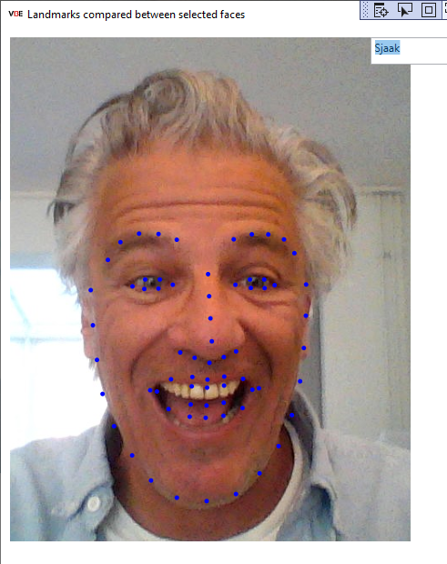 Landmarks op gezicht